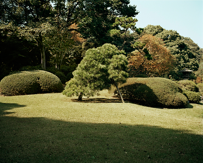 06_Rikugien_Garden_Tokyo.jpg