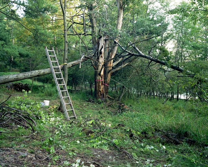 381_site-of-freds-new-home-lake-wallenpaupak-pennsylvania-august-2006.jpg