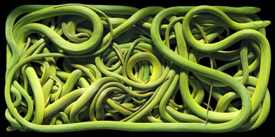 AP Green Snakes.jpg