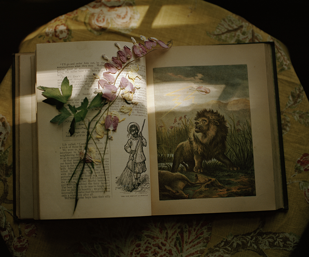lion+book+pressed+flower.jpg